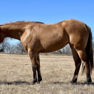 Streakin To The Race