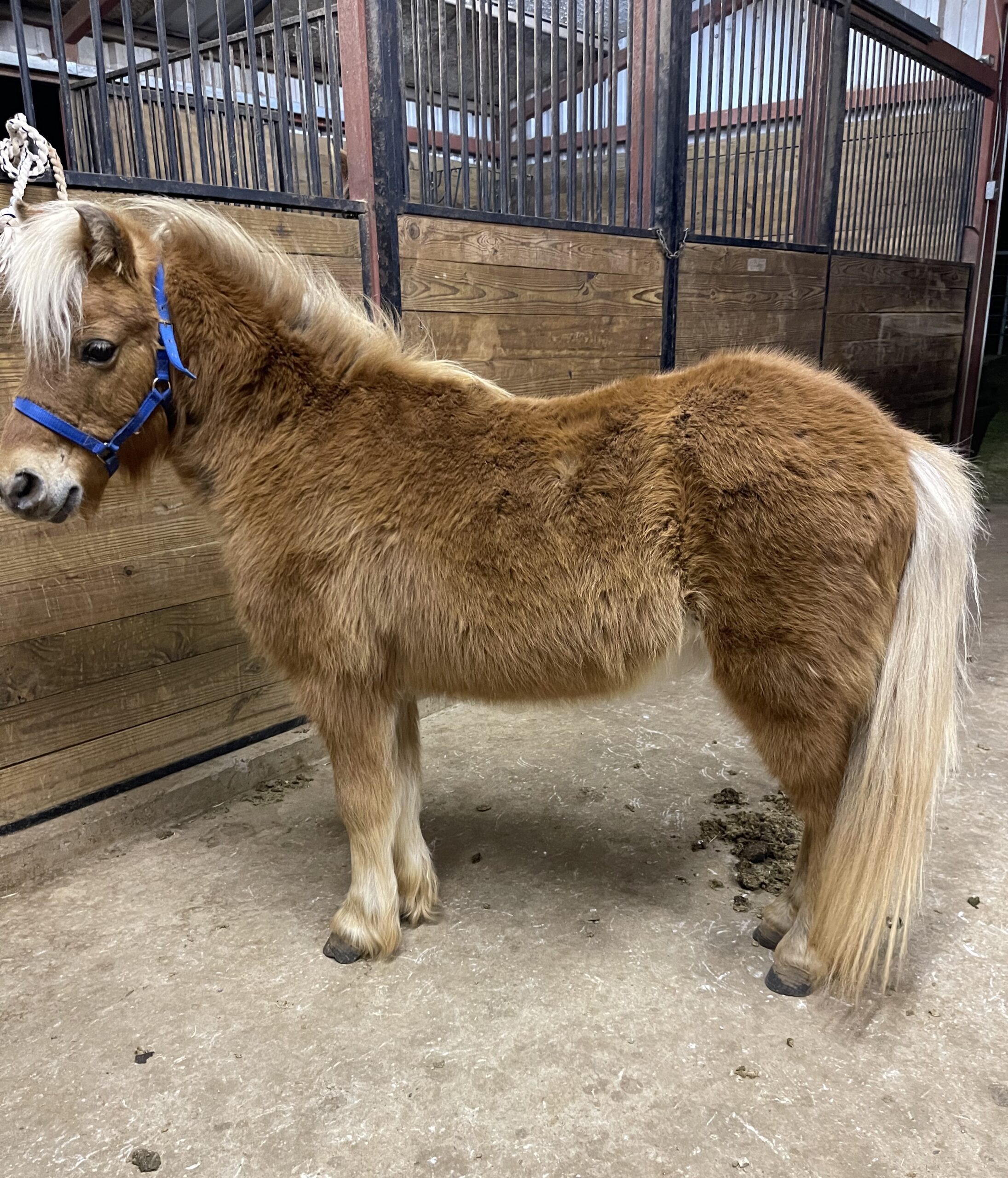 099139A6-9685-4E57-A872-CF1664FC0214 - Alexia and Gabby