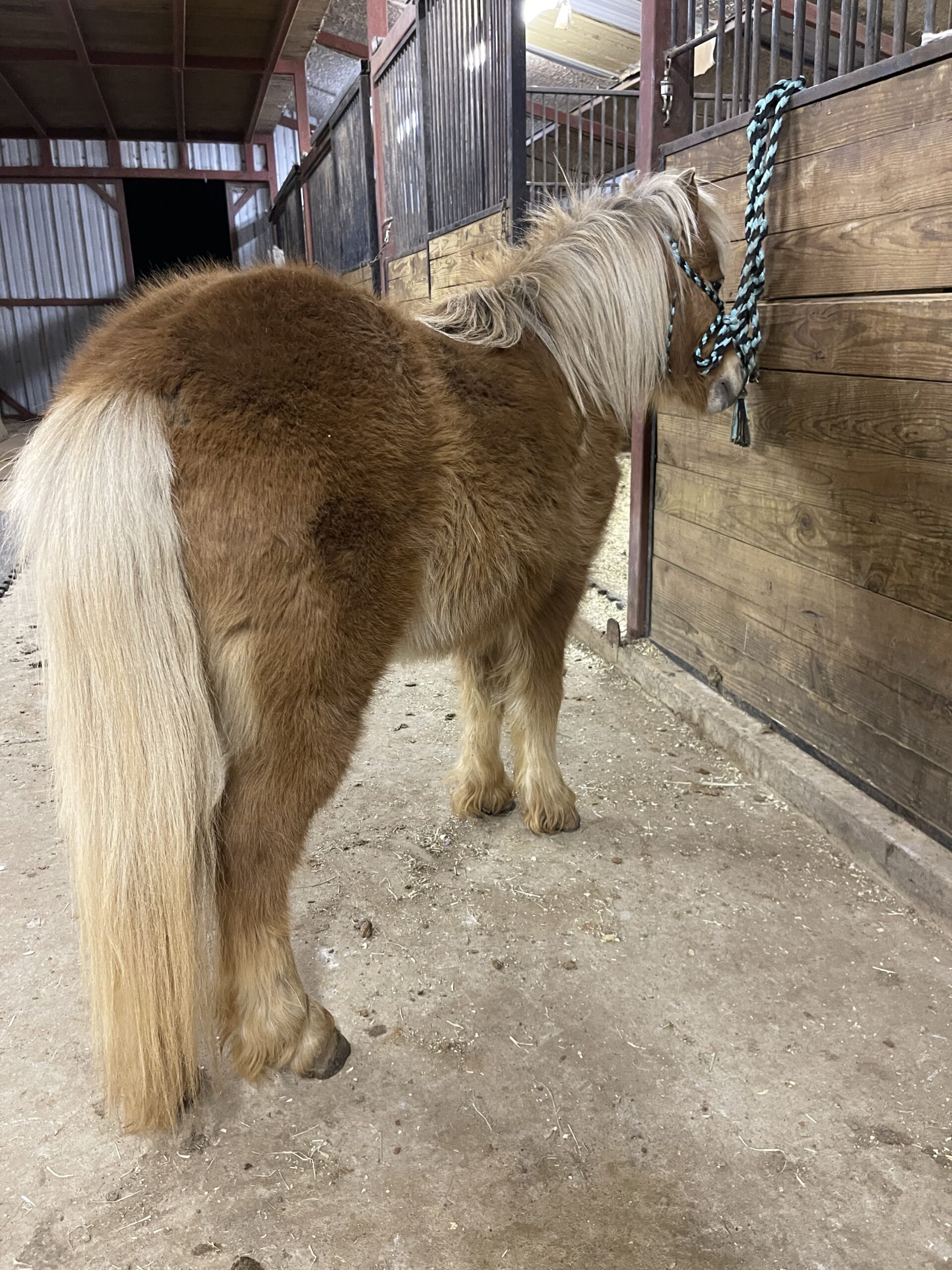 2E203DB1-4BC3-4472-A312-E8CF22AB7988 - Alexia and Gabby