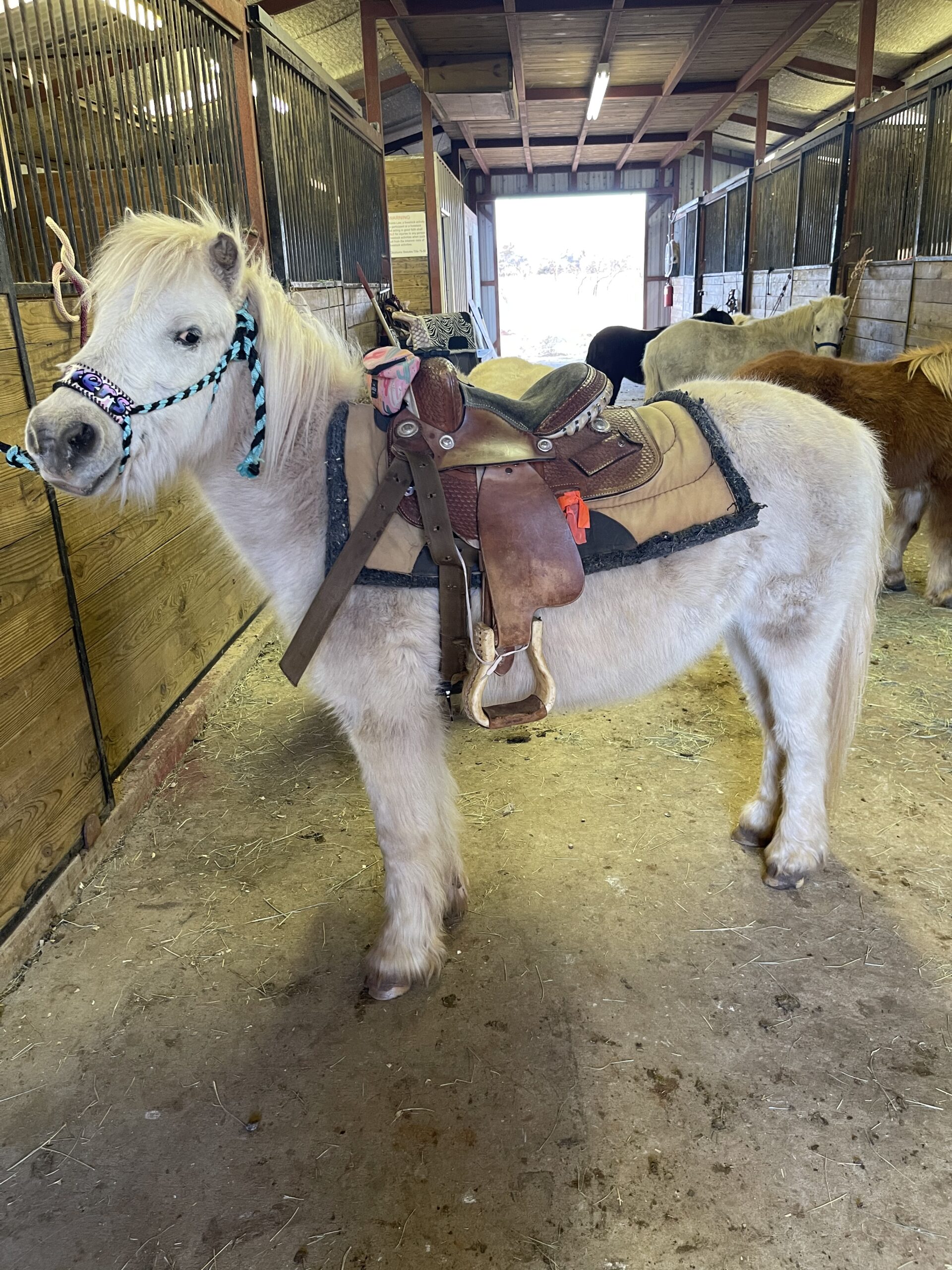 4F52D18C-D5CB-4D19-8AFD-879312740856 - Alexia and Gabby