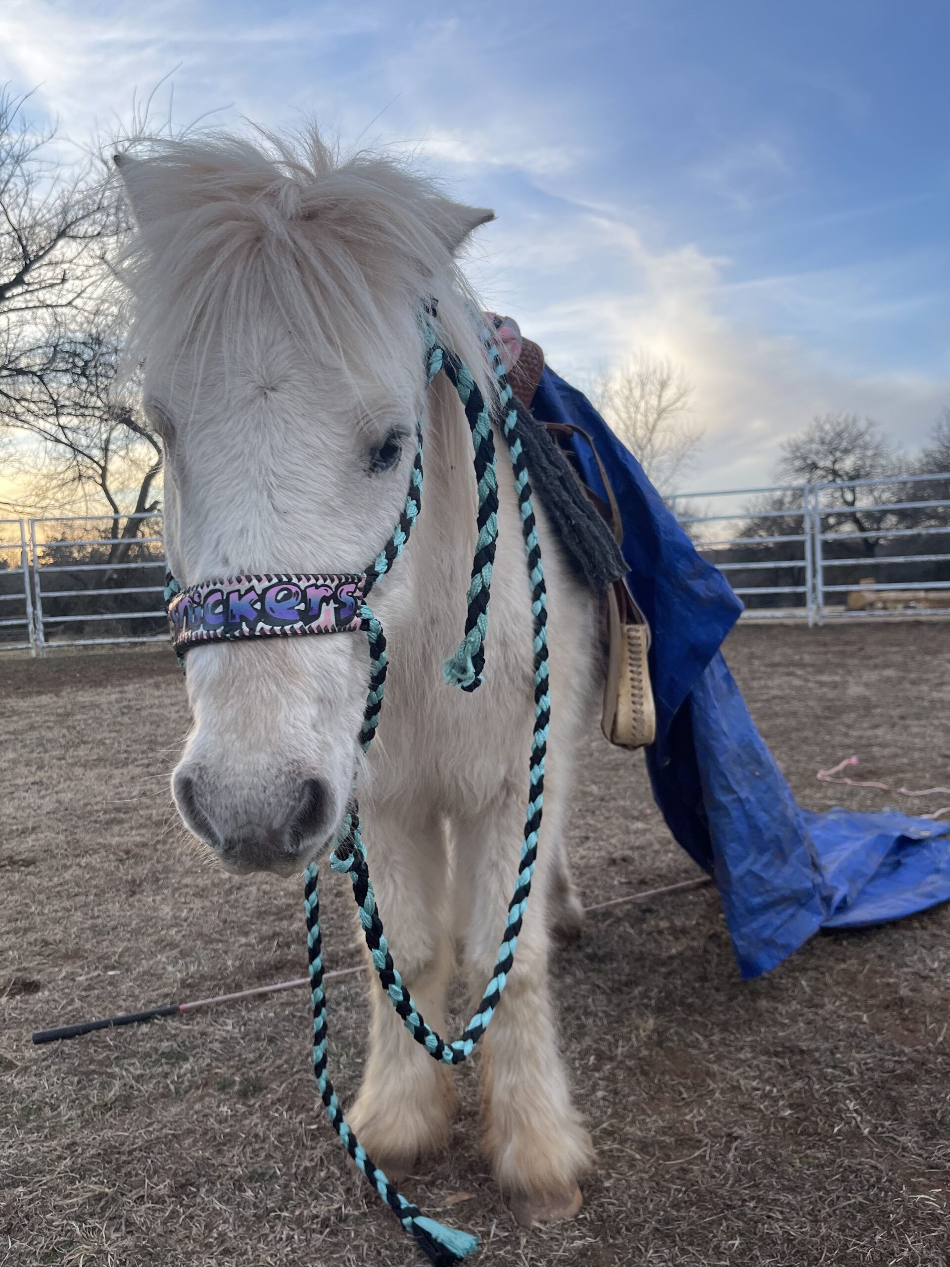 69A165F3-5E46-4E9A-8EC7-DAA728CDF213 - Alexia and Gabby