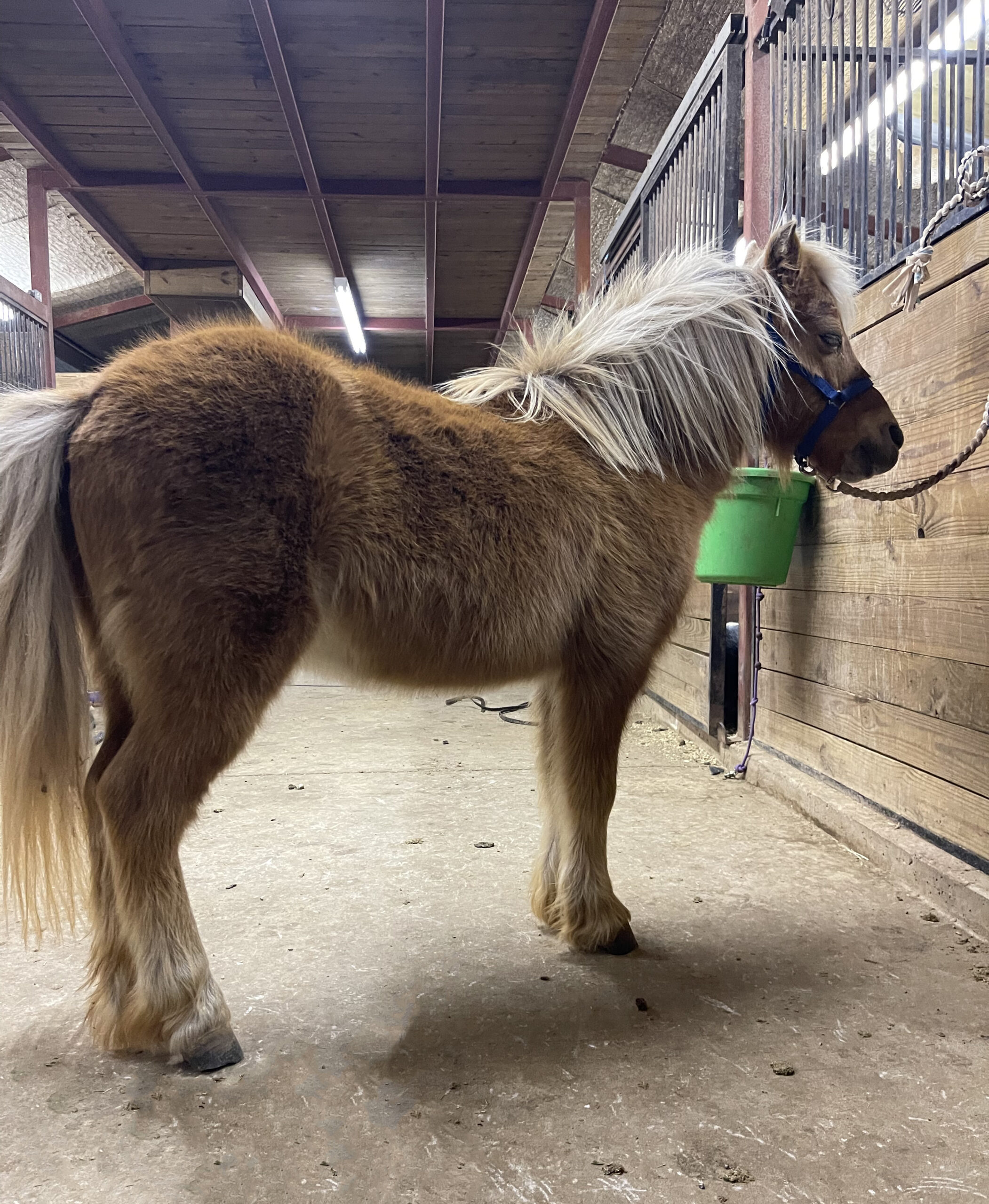 92F10C9F-1C7D-46ED-AF1E-70F054CCC208 - Alexia and Gabby