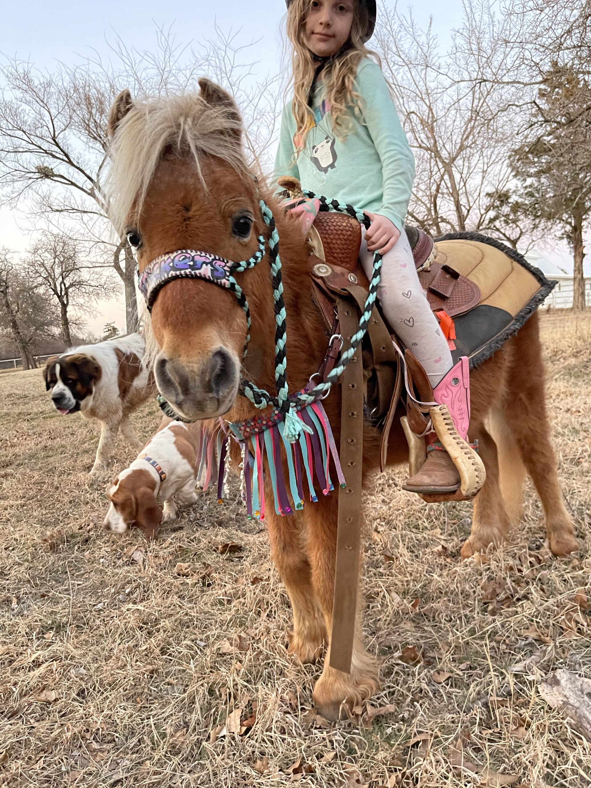 DD516B69-1111-40A1-8036-31C596378C7C - Alexia and Gabby